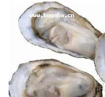 ĵϠ