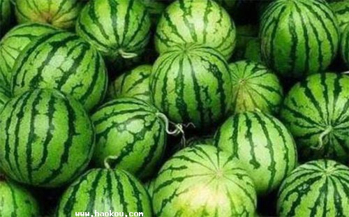 _(ti)ʲôخa(chn)Ԏ
