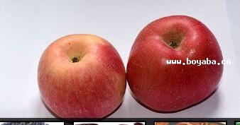 ӺO