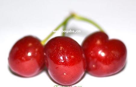 կ
