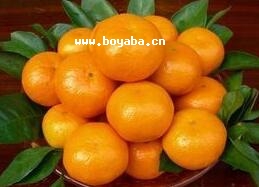 ˶ڎr۸