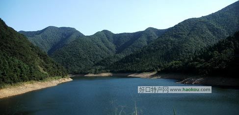 ~ʲôخa(chn)
