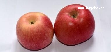 ǬhO