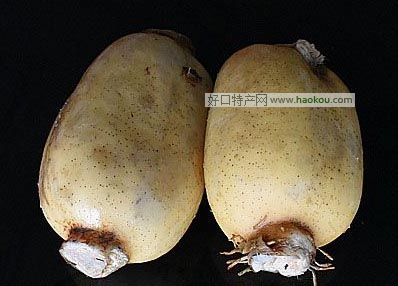 鱤tź