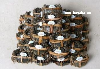 Oз