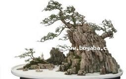 P辰