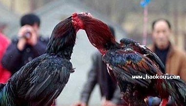 ʝu