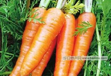 悺}