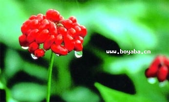 Ϫ