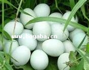 ŮƾGu