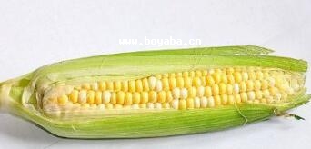 ѿh