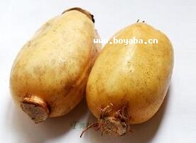 ɏź