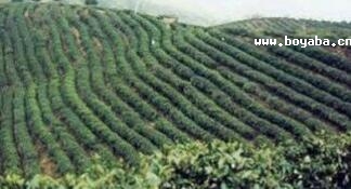 çɽy䡱