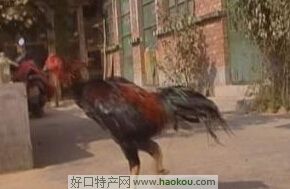 u.jpg