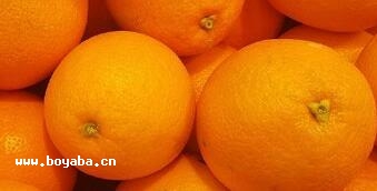 Ě