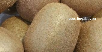 ݫJ