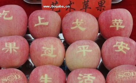 匎ϸO.jpg