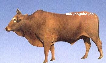 ϵSţ