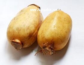 伯ɏź