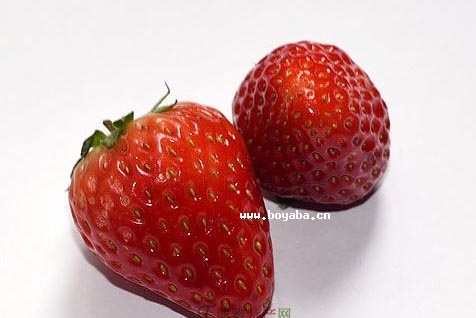 MͲݮ
