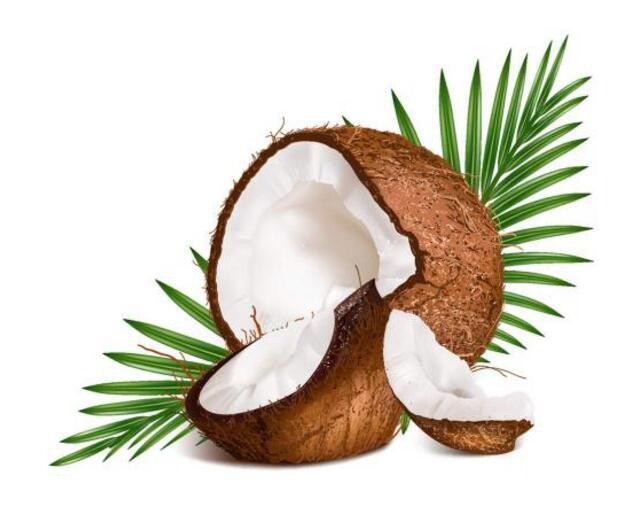 Ҭ