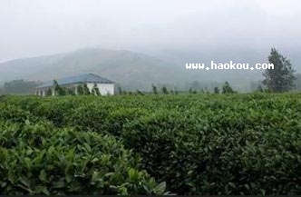 Α