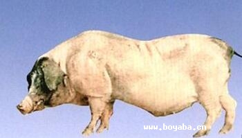 ǭۻi