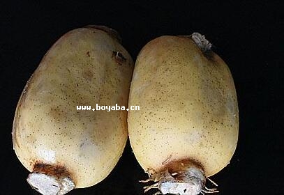 ݳǆź