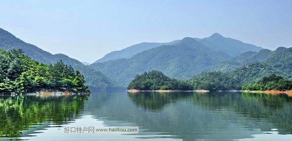 (ni)ʲôخa(chn)?