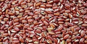 μtС