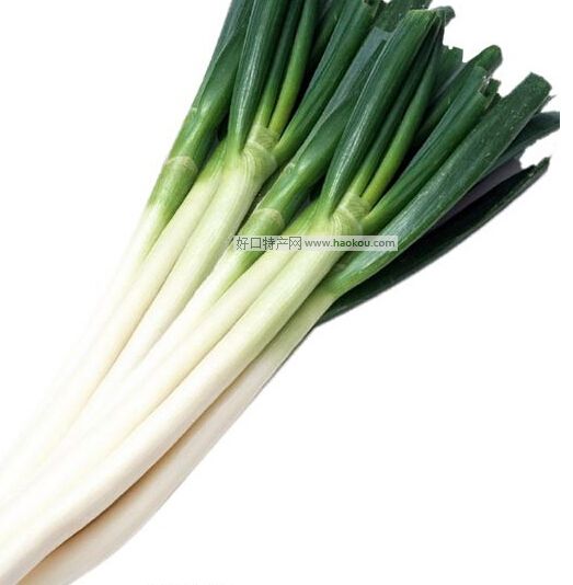 ڴ[
