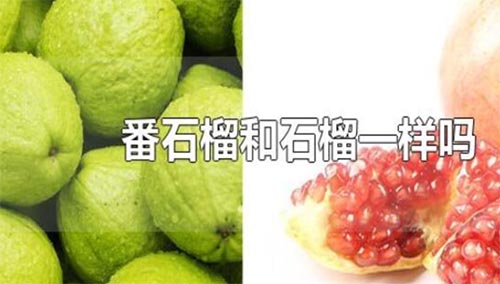 ʯʯһNˮ