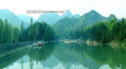 vRʲôخa(chn)