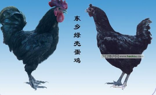 |l(xing)Gu