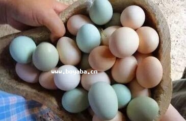 L(zhng)۴u