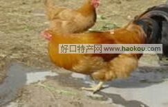 Խʎu