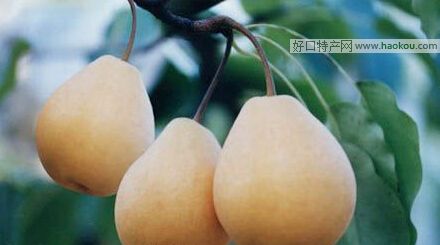 nϪѩ