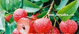 ٿh