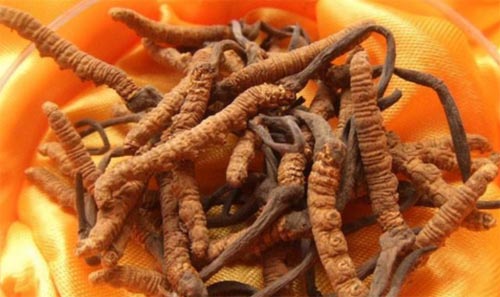 կʲôخa