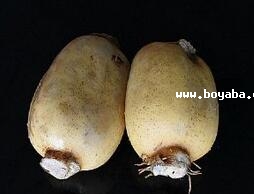 Fź